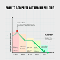 Gut Health Booster With Best Probiotics supplement