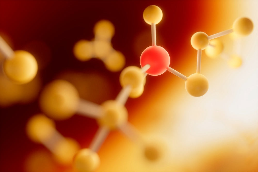 Short Chain Fatty Acids: Why They're Key for Gut Health & Digestion