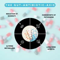 Antimicrobial Sensitivity Test | Improve Gut Recovery Potential Against 90+ Antibiotics