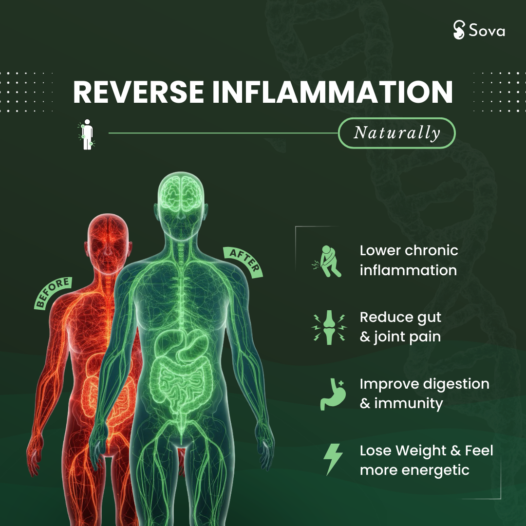Personalized Anti-Inflammatory Diet | Reduce Inflammation Naturally in 3-4 months