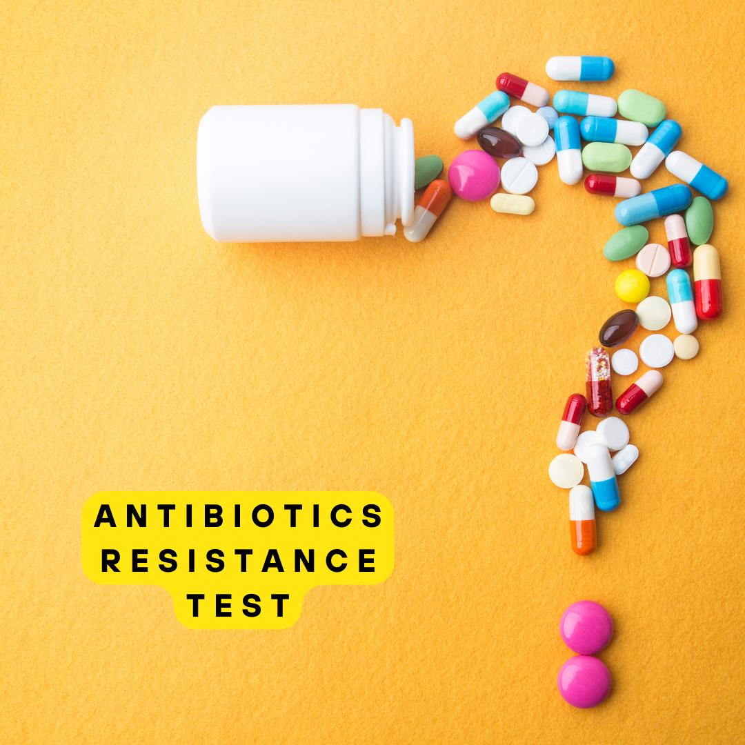 Antimicrobial Sensitivity Test | Improve Gut Recovery Potential Against 90+ Antibiotics