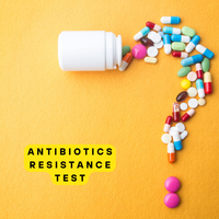 Antimicrobial Sensitivity Test | Improve Gut Recovery Potential Against 90+ Antibiotics