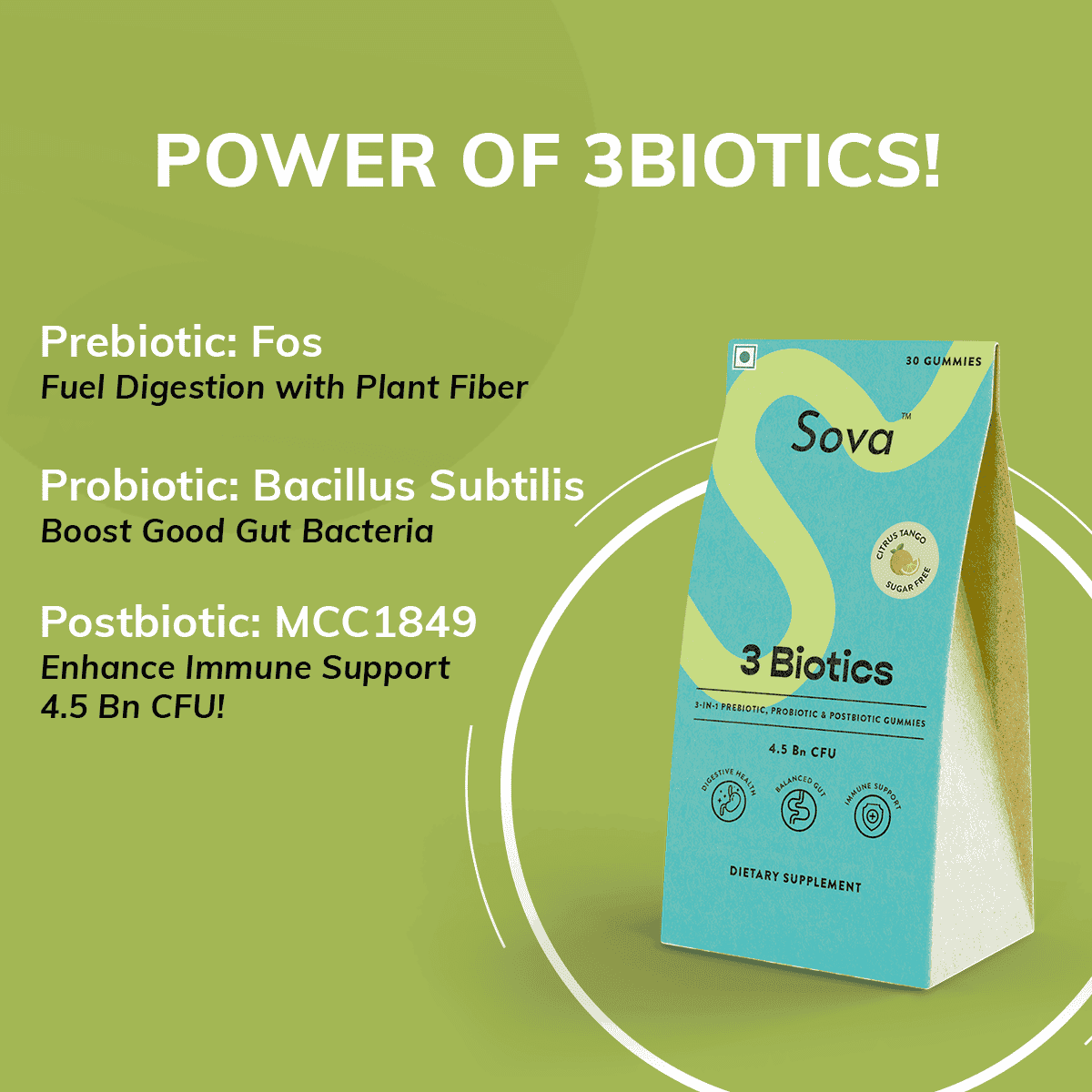 3 Biotics | Post Meal Digestive