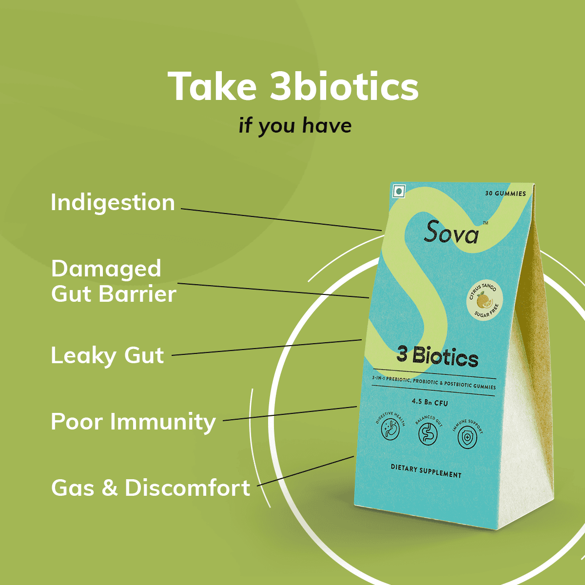 3 Biotics | Post Meal Digestive Enzymes for Improved Digestion