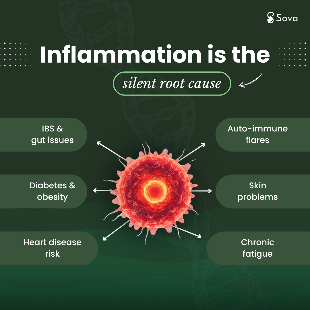 Personalized Anti-Inflammatory Diet | Reduce Inflammation Naturally in 3-4 months