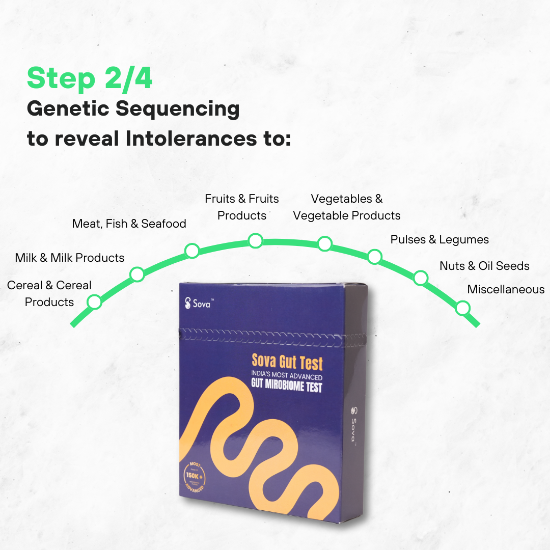 Comprehensive Food Intolerance Test | Reverse Food Sensitivities, No More Restrictive Diets