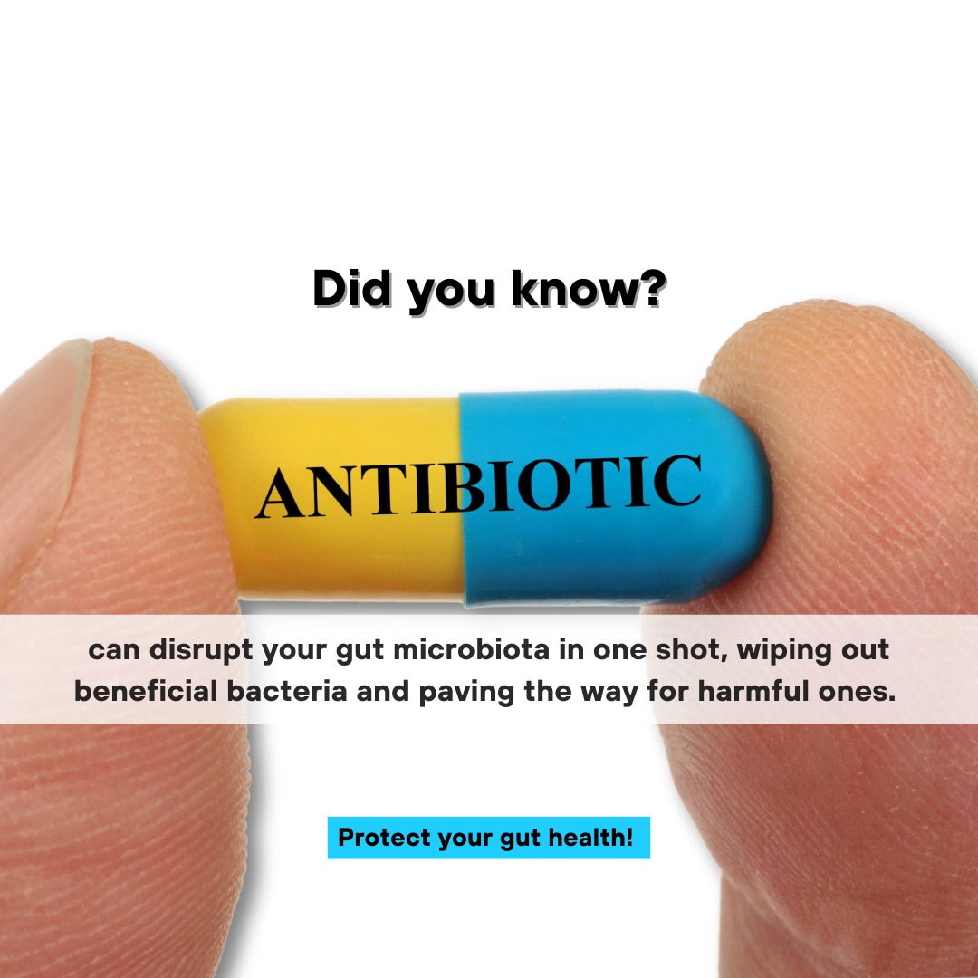 Antimicrobial Sensitivity Test | Improve Gut Recovery Potential Against 90+ Antibiotics