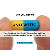 Antimicrobial Sensitivity Test | Improve Gut Recovery Potential Against 90+ Antibiotics
