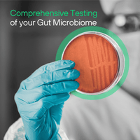Gut x Bloating