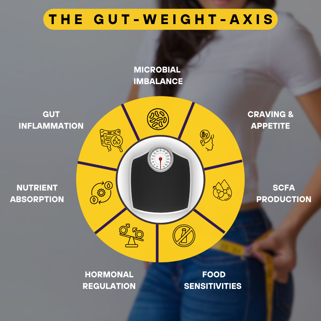 Gut Metabolism Test | Science-Backed Solution to Weight Management