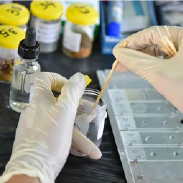 Gut Microbiome Test – Sova Health